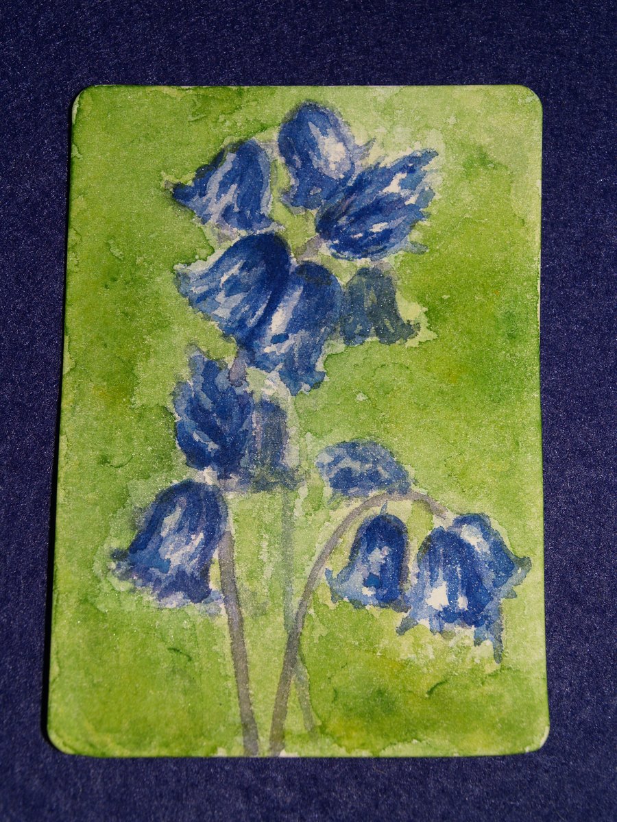 ACEO Original Watercolour Impressionist Bluebells