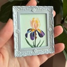 Iris Miniature Framed Painting, February Birth Flower, Cottagecore Gift