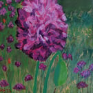 Poppy Surprise