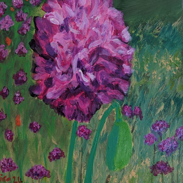 Poppy Surprise