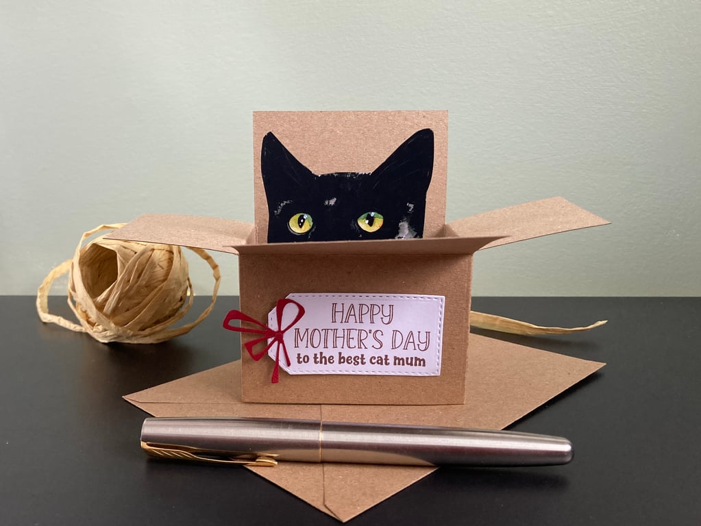 Cat Mothers Day Card. Cat box card. Personalised gift card for cat lover