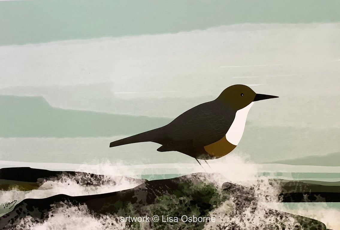 Dipper - bird art print