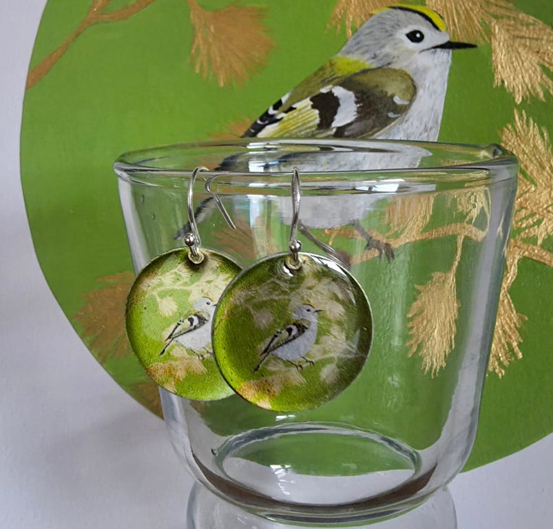 Goldcrest in Pine Standard Aluminium Earrings 