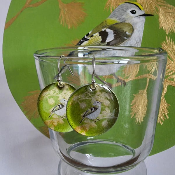 Goldcrest in Pine Standard Aluminium Earrings 