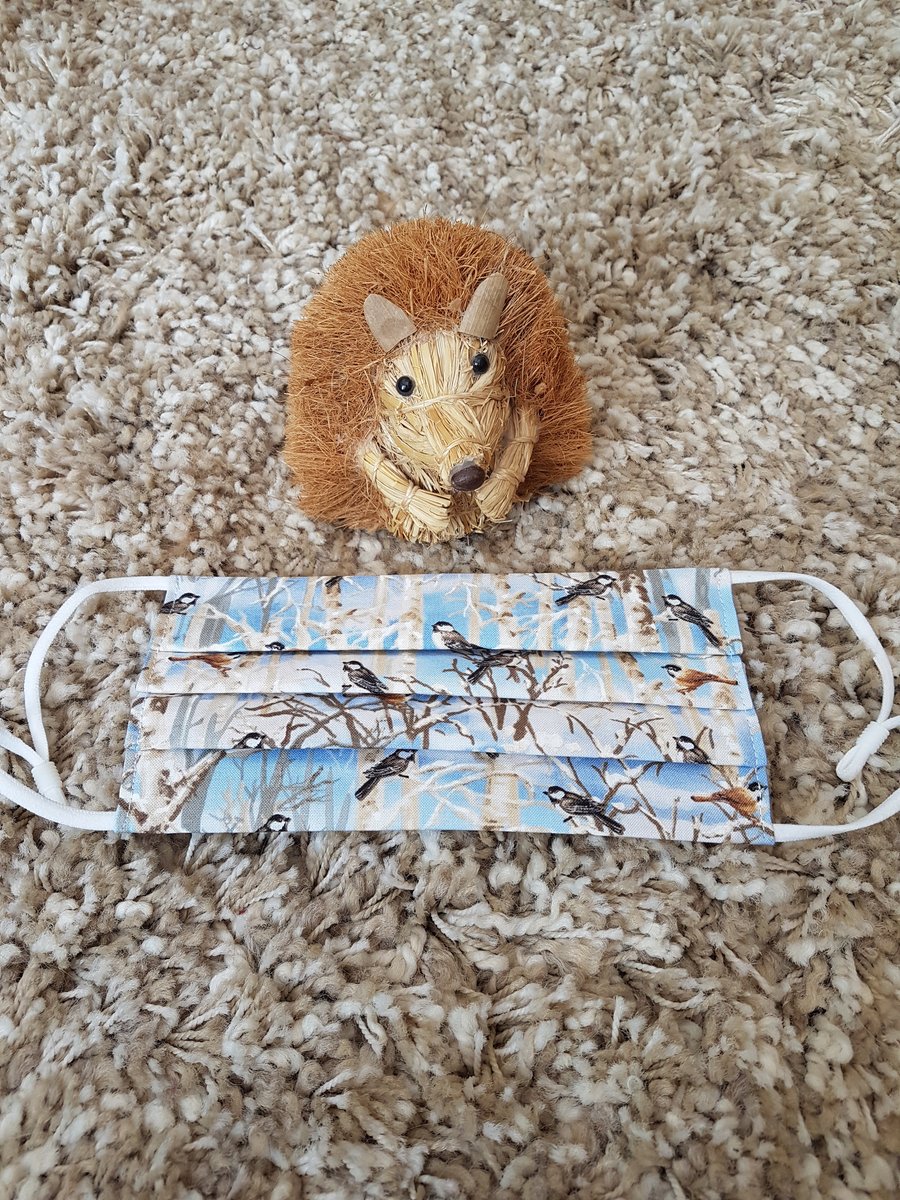 Small Adult or Teenager face covering - Birds in Trees print