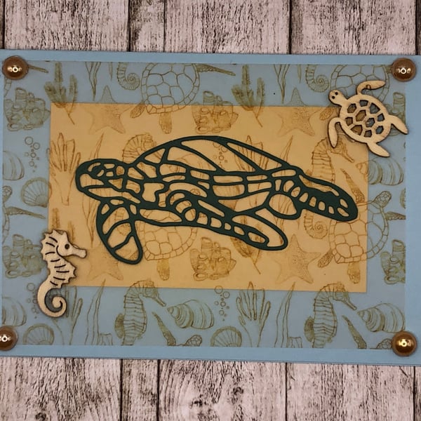 Creatures of the sea including turtles 