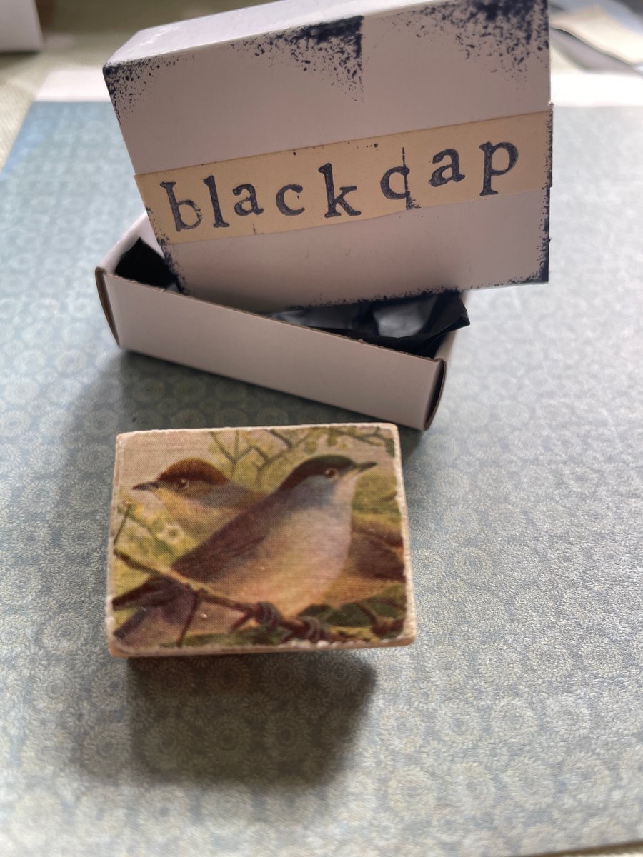 Blackcap - Wooden Bird Block Brooch