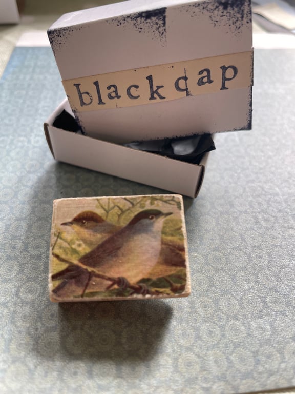 Blackcap - Wooden Bird Block Brooch
