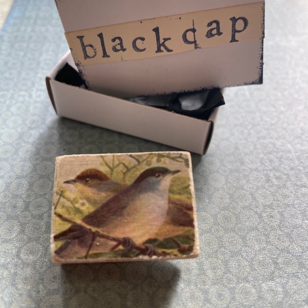 Blackcap - Wooden Bird Block Brooch