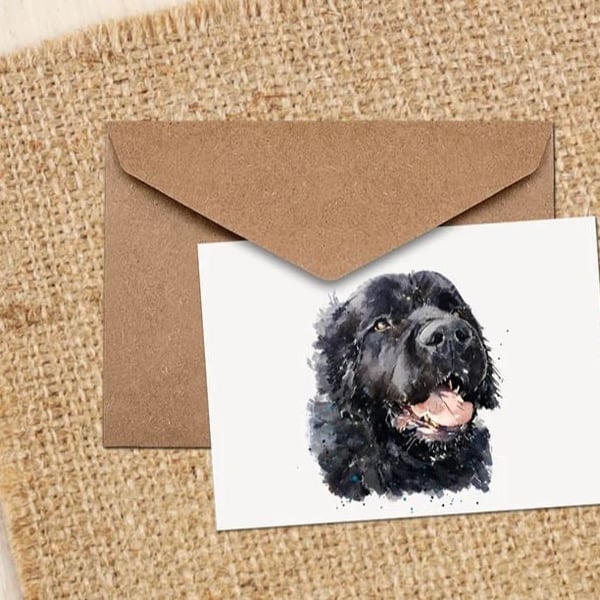 Newfoundland Dog GreetingNote Card.Newfie cards,Newfie note cards, Newfie greeti