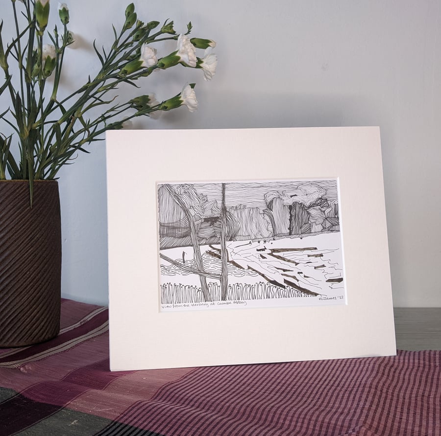 View from the Herony at Coombe Abbey