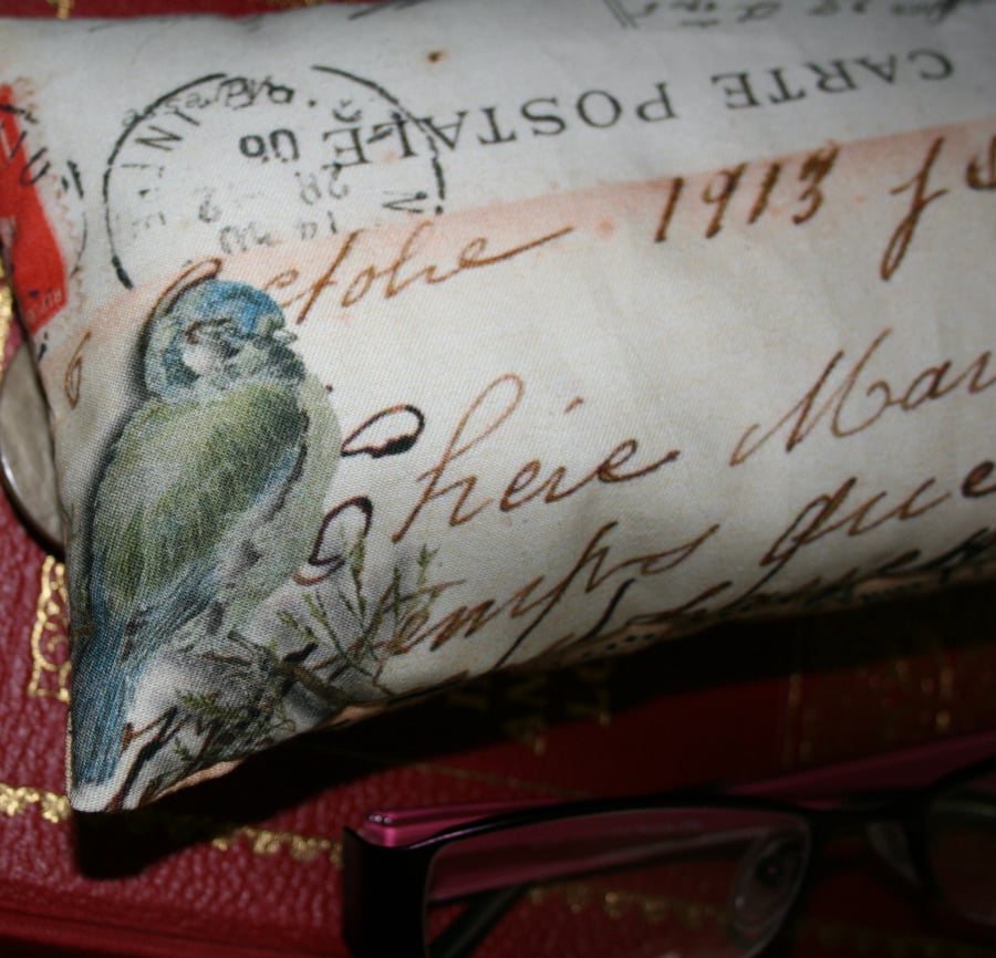 Blue tit bird french text glasses case sunglasses