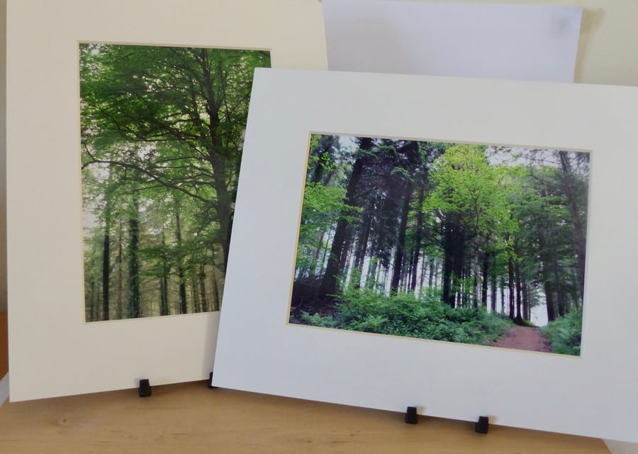 2 x 10" x 8" Mounted Photos - Trees