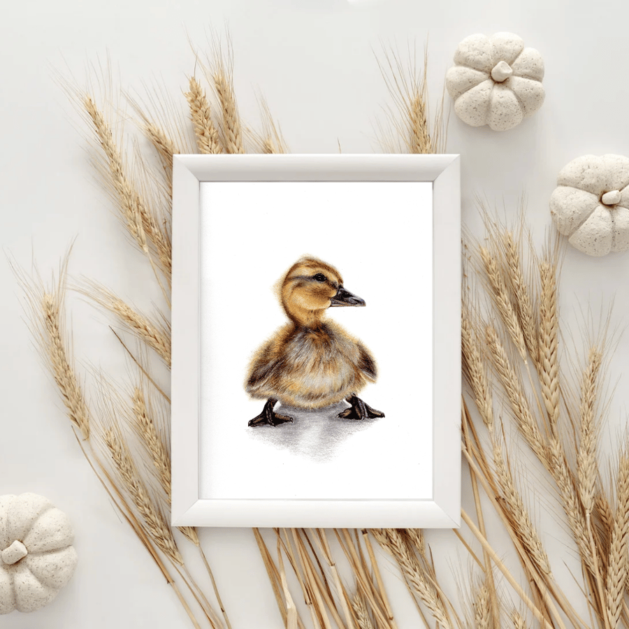 UNFRAMED Duckling drawing Gilcee Fine Art Limited Run 