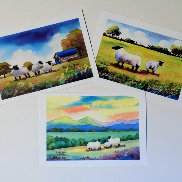  Art Greeting Cards, Sheep, in Welsh Landscapes, Set of 3, blank inside, A5