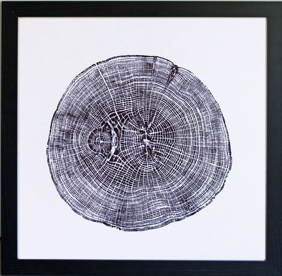 English Oak - Tree Ring Art Print 40cm diameter in black