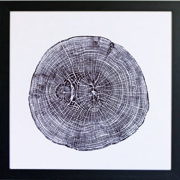 English Oak - Tree Ring Art Print 40cm diameter in black