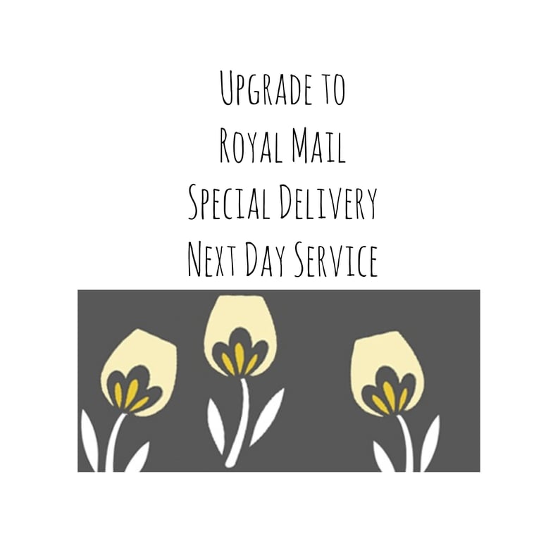 Royal Mail Special Delivery Upgrade