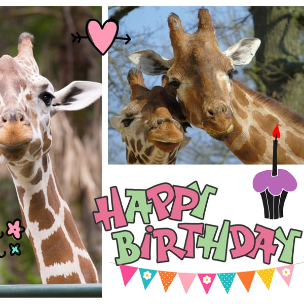 Happy Birthday With Love Giraffes Card 