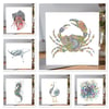 Costal inspired Greeting card bundle 