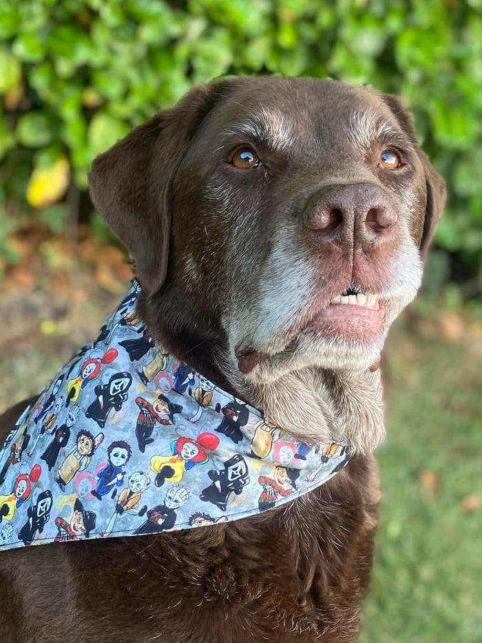 I & Y Creations