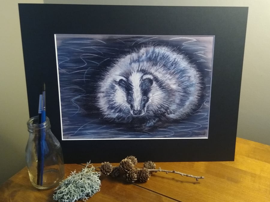 A4 signed print of an original pastel drawing of a Badger