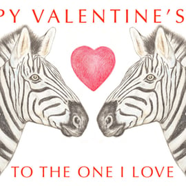 Zebras Nose to Nose - Valentine Card