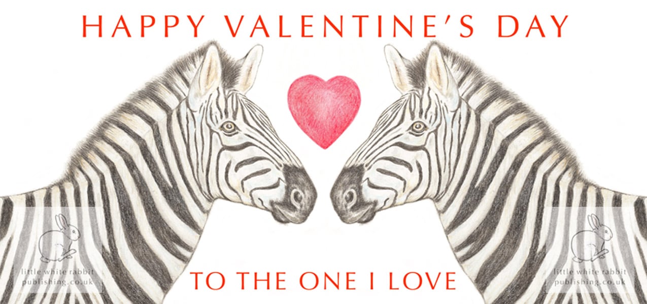 Zebras Nose to Nose - Valentine Card