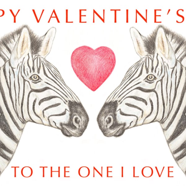 Zebras Nose to Nose - Valentine Card