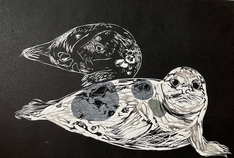 Two Grey Seal pups  - Donna Nook