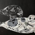 Two Grey Seal pups  - Donna Nook