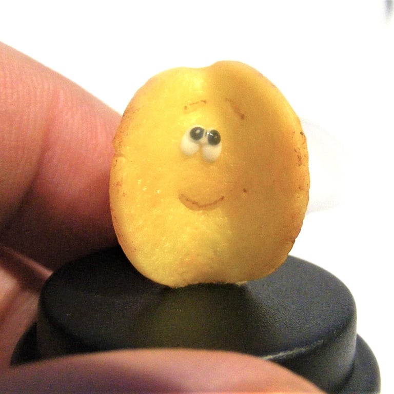 Pet Potato Crisp, Pet Potato Chip, Crisp gift, Crisp lover, comedy gift