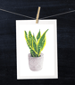 Snake Plant Botanical Art Houseplant Digital Print - Image 5