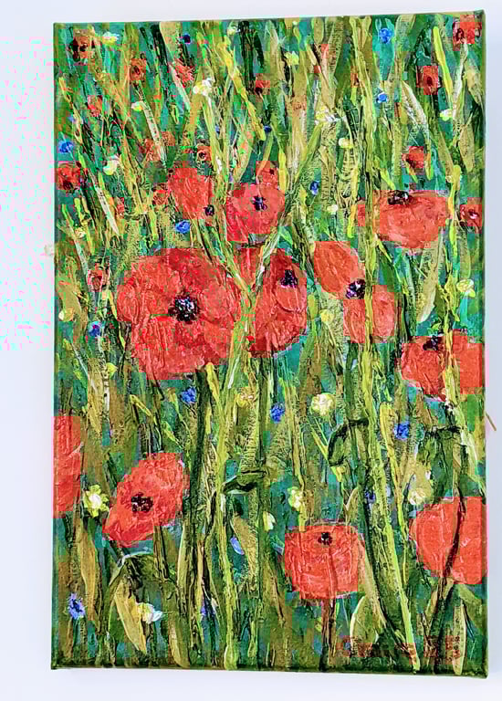 2025 Poppies
