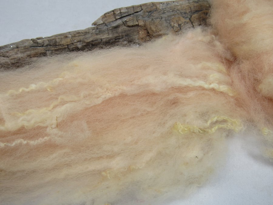 10g Naturally Dyed Pale Peach BFL Shetland Felting Wool