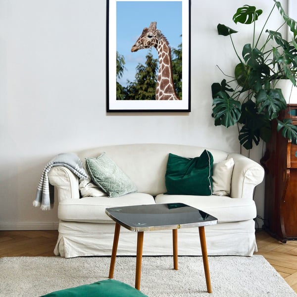 Handsome giraffe wall art print