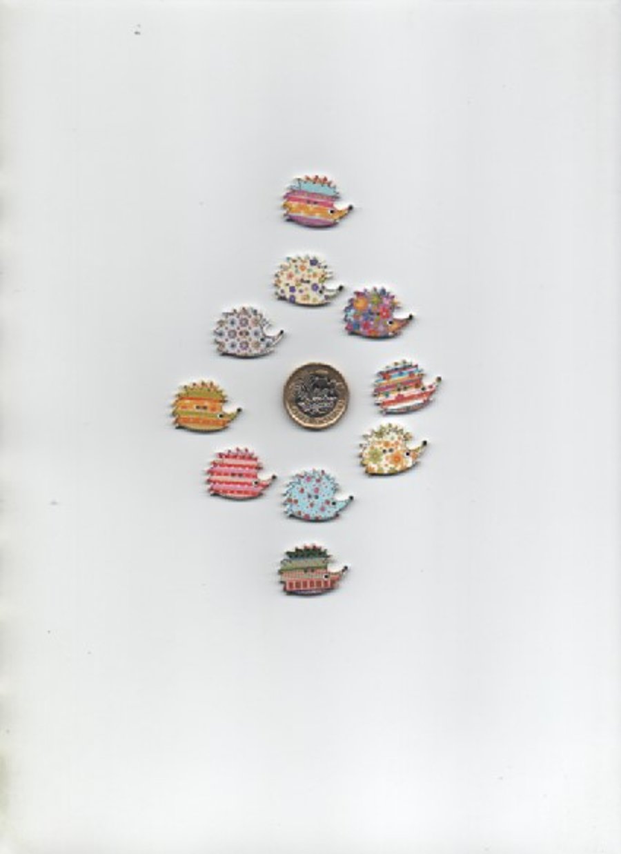 Pack of 10 assorted wooden painted funky HEDGEHOG buttons CLEARANCE