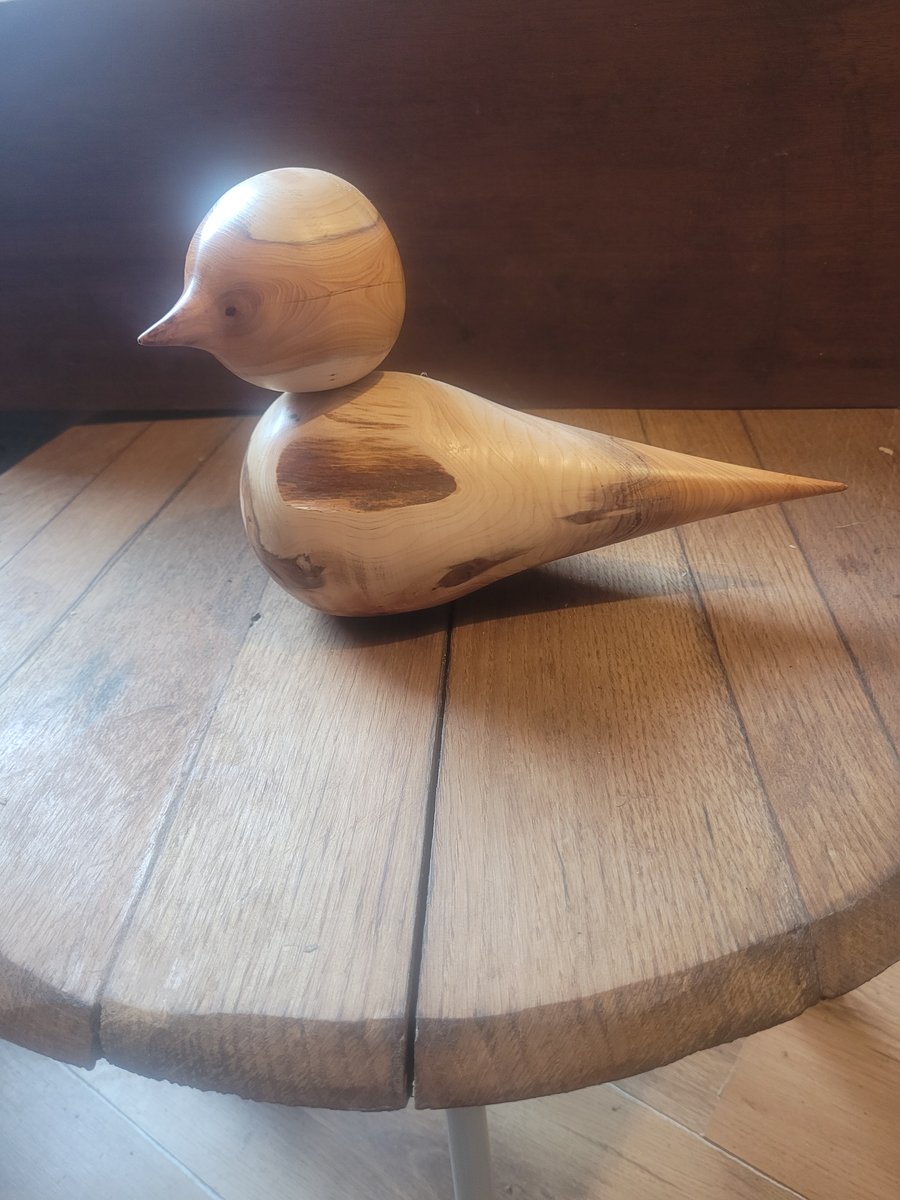 Yew duck , Bird