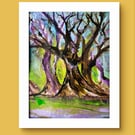 "Where the trees listen"   