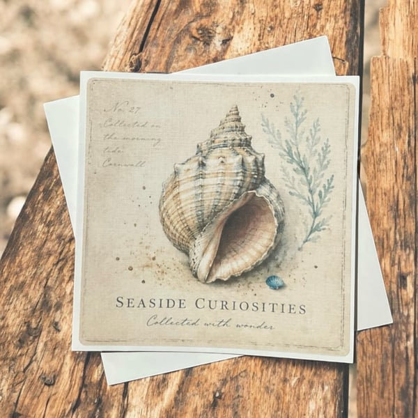 Seaside Curiosities Handmade Greeting Card – Coastal Seashell Card. Beach Lover