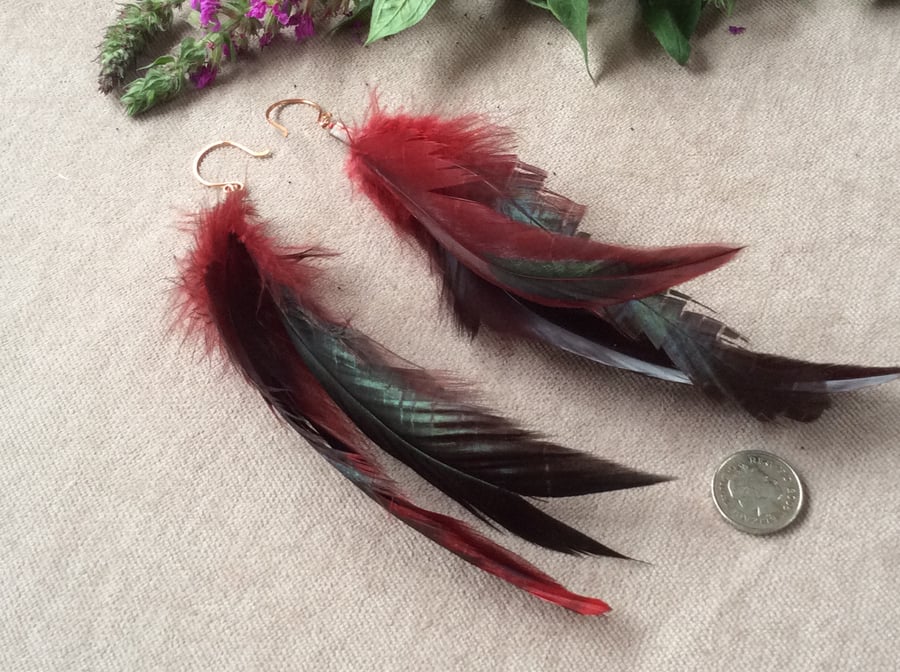 Crimson Feather Earrings FREE POST
