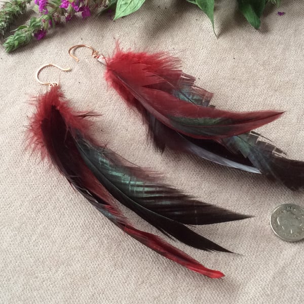 Crimson Feather Earrings FREE POST