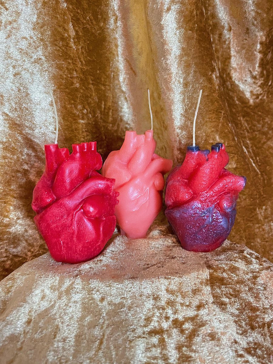 Beautiful Anatomical Heart Candle 