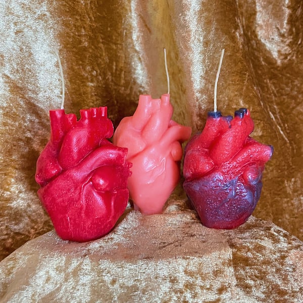 Beautiful Anatomical Heart Candle 