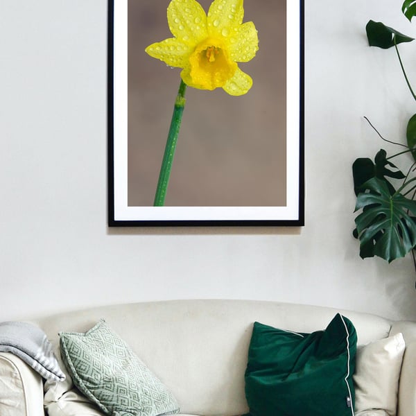 Yellow Daffodil wall art print, spring flower photography