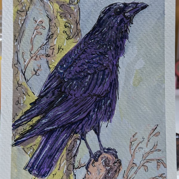 Original illustration of a crow