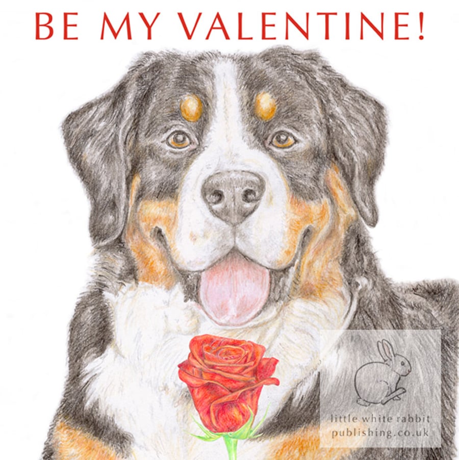 Loki the Bernese Mountain Dog - Valentine Card