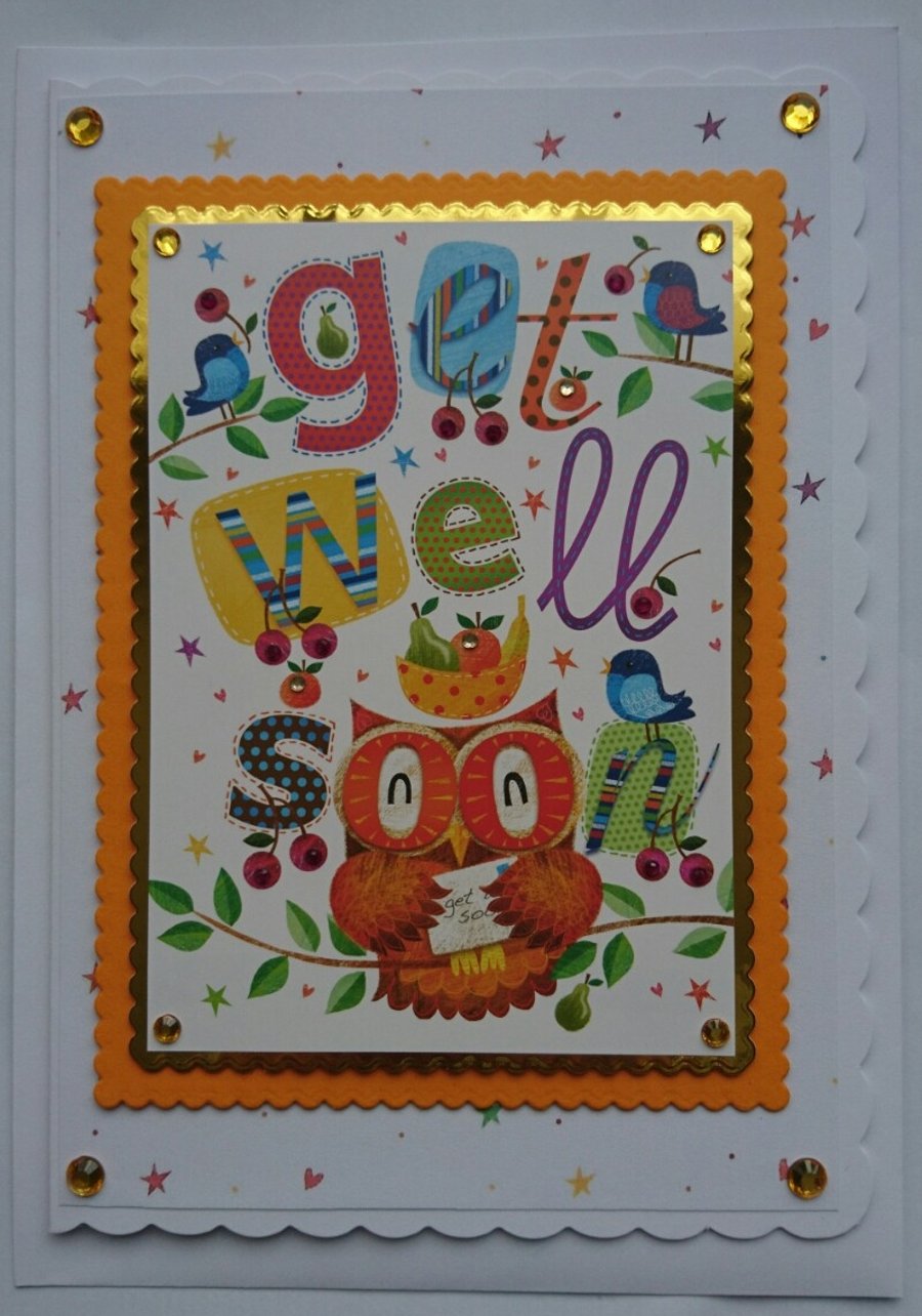 Get Well Soon Card Cute Owl with Birds and Fruit 3D Luxury Handmade Card
