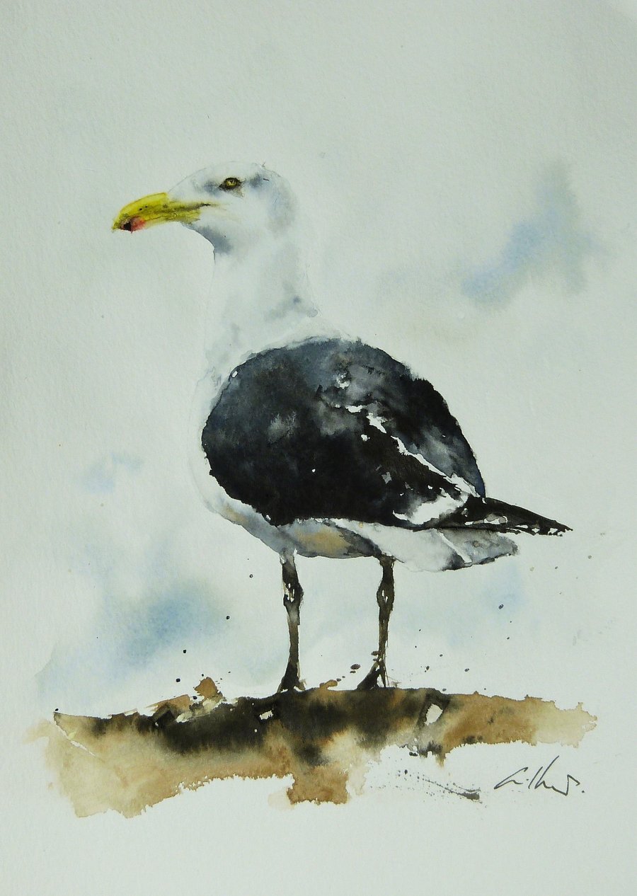 Great Black Backed Gull, Original Watercolour Painting.