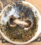 Large Ceramic buttons - Image 9